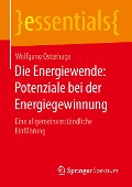 Die Energiewende: Potenziale bei der Energiegewinnung - Wolfgang Osterhage
