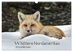 Cover-Bild zum Titel 'Wildtiere Nordamerikas (Wandkalender 2027 DIN A3 quer), CALVENDO Monatskalender' von 'Ursula Salzmann'