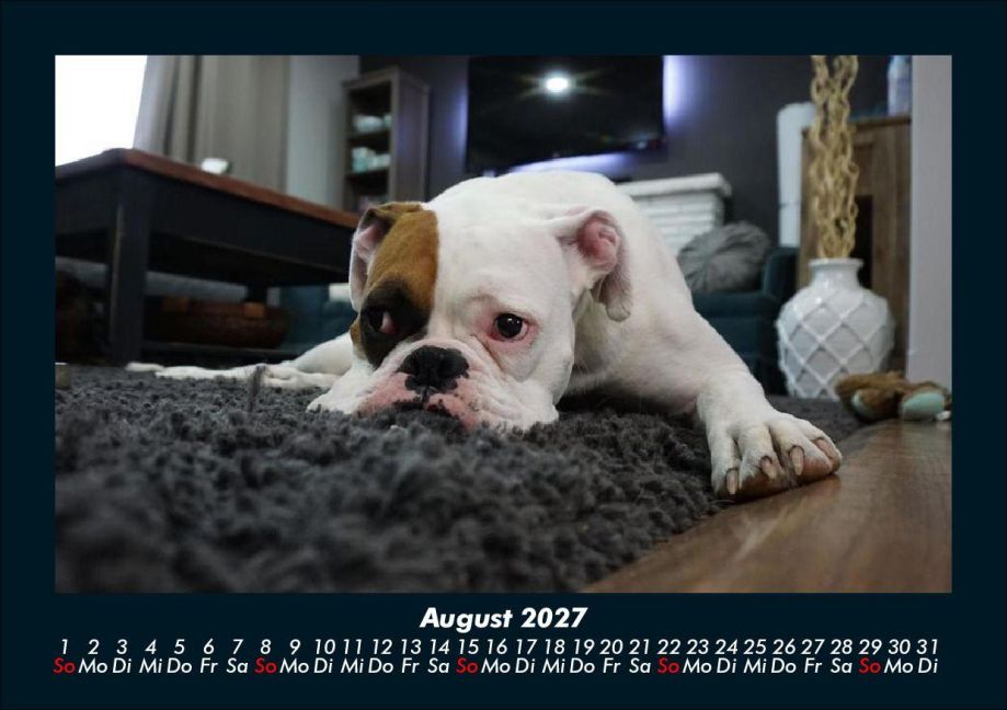 InsideView 12