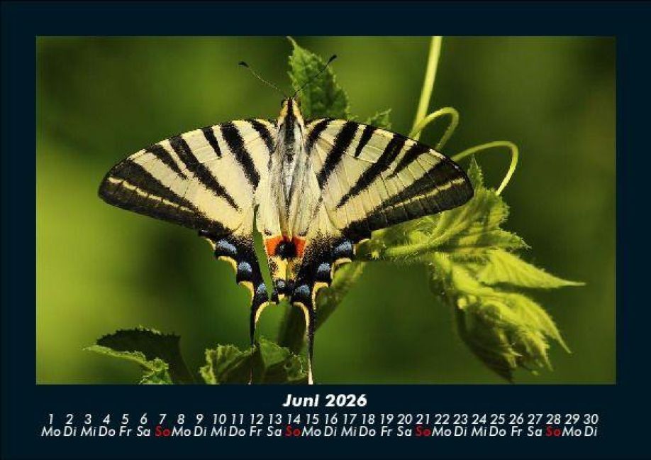 InsideView 10