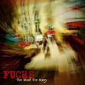 Cover-Bild zum Titel 'Too Much Too Many' von 'Fuchs'