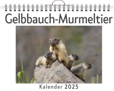 Cover-Bild zum Titel 'Gelbbauch-Murmeltier' von 'Matteo Neumann'
