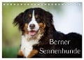 Berner Sennenhunde (Tischkalender 2024 DIN A5 quer), CALVENDO Monatskalender - Nicole Noack