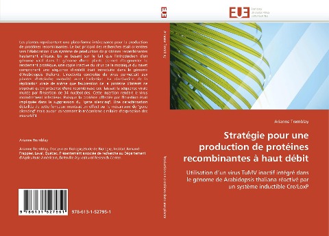 Stratégie pour une production de protéines recombinantes à haut débit - Arianne Tremblay