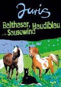 Cover-Bild zum Titel 'Balthasar, Haudiblau und Sausewind' von 'Günther Juris'