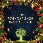 Cover-Bild zum Titel 'Dein Adventskalender: Nachhaltigkeit' von 'Paul Lehmann'
