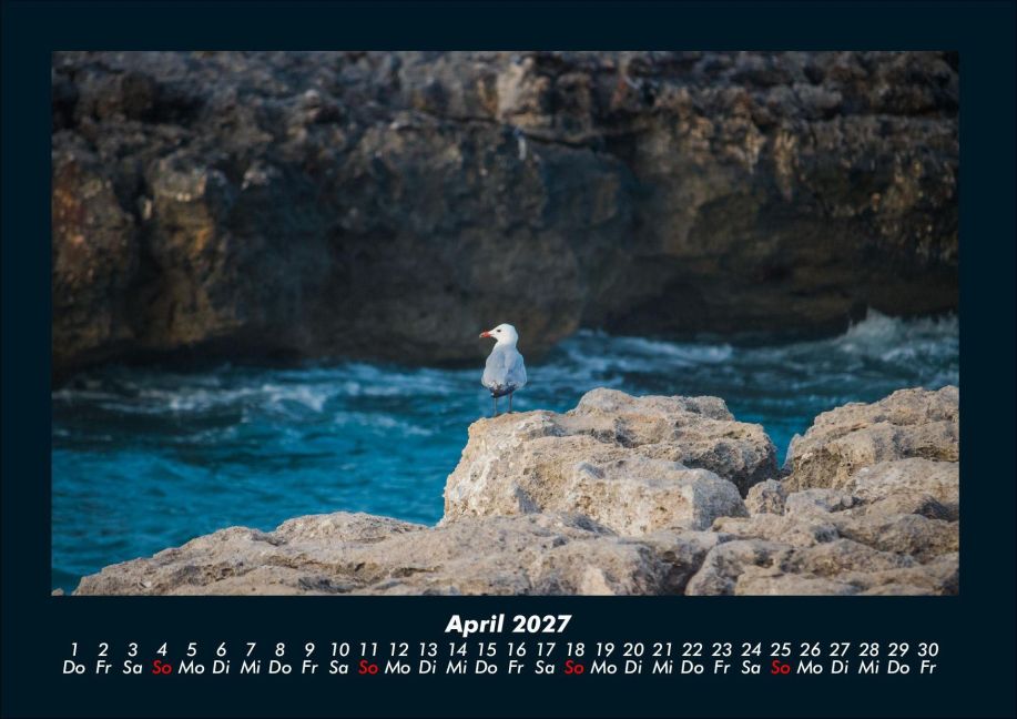 InsideView 8