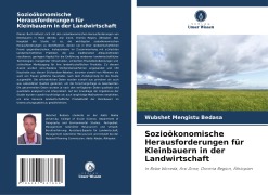 Cover-Bild zum Titel 'Sozioökonomische Herausforderungen für Kleinbauern in der Landwirtschaft' von 'Wubshet Mengistu Bedasa'