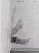 Cover-Bild zum Titel 'Dominik Lejman. Presence' von ''