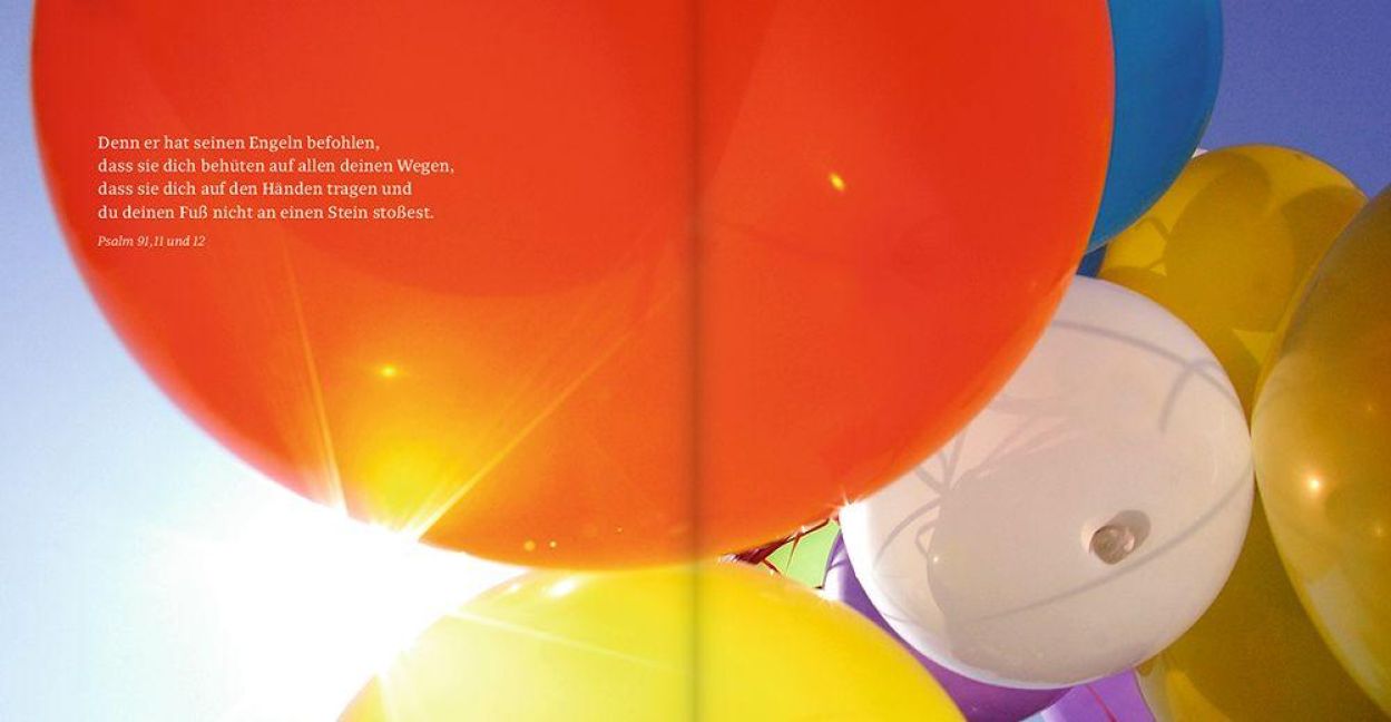 InsideView 8