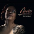 Cover-Bild zum Titel 'Metronome' von 'Jooles & The Hidden Tracks'