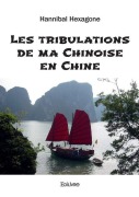 Cover-Bild zum Titel 'Les tribulations de ma Chinoise en Chine' von 'Hannibal Hexagone'