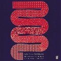 Cover-Bild zum Titel 'Finding the Raga' von 'Amit Chaudhuri'