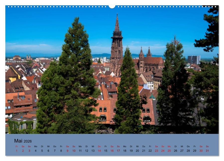 InsideView 10