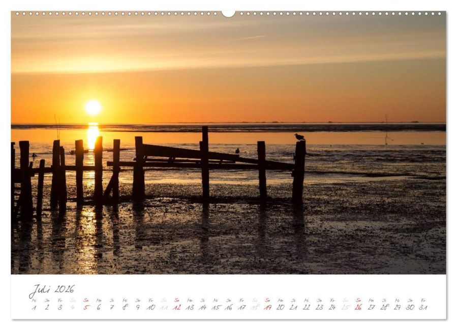 InsideView 12