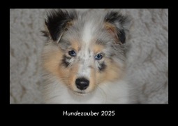 Cover-Bild zum Titel 'Hundezauber 2025 Fotokalender DIN A3' von 'Tobias Becker'