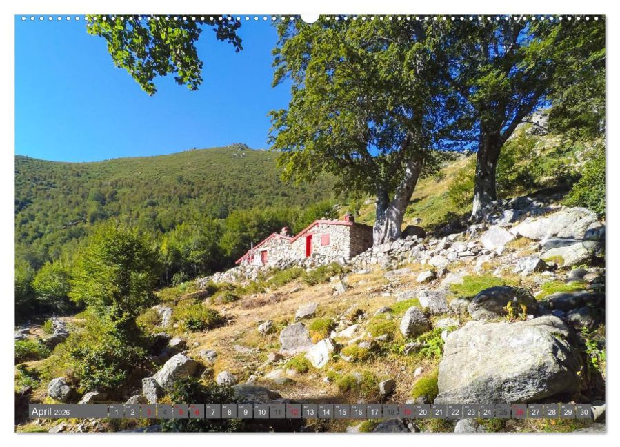 InsideView 9