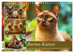 Cover-Bild zum Titel 'Burma-Katzen. Ausstrahlung und Anmut der faszinierenden Samtpfoten (Wandkalender 2026 DIN A4 quer), CALVENDO Monatskalender' von 'Rose Hurley'
