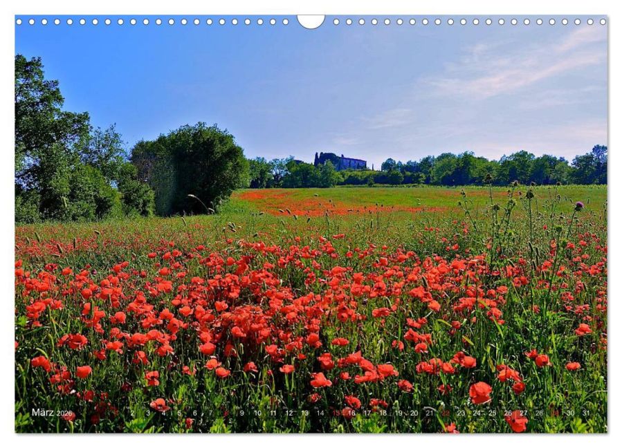 InsideView 8