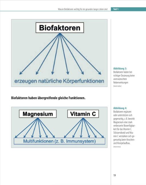 InsideView 5