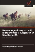 Neoendogeniczny rozwój nieruchomo¿ci wiejskich w São Borja-RS - Augusto José Pinto Souto