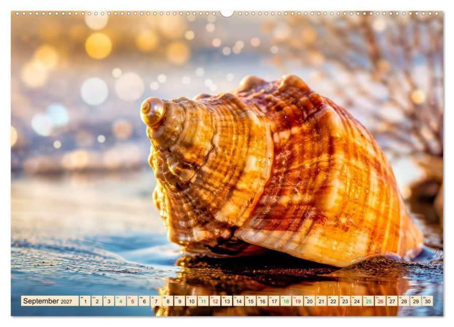 InsideView 14