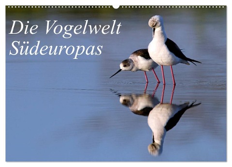 Die Vogelwelt Südeuropas (Wandkalender 2024 DIN A2 quer), CALVENDO Monatskalender - Benny Trapp