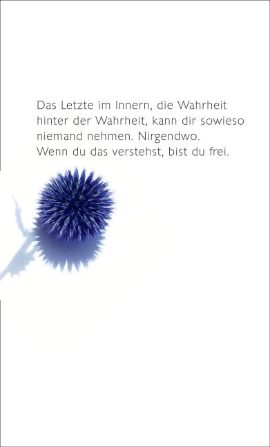 InsideView 5