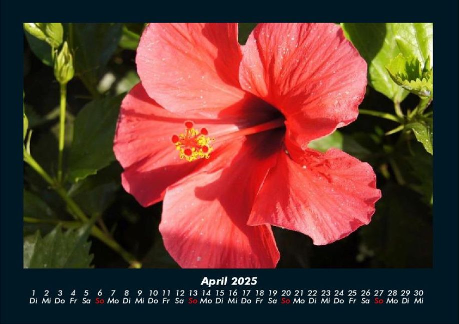 InsideView 8