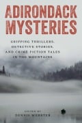 Cover-Bild zum Titel 'Adirondack Mysteries' von ''
