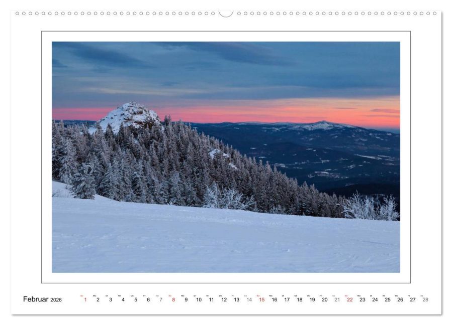 InsideView 7