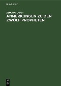 Cover-Bild zum Titel 'Anmerkungen zu den zwölf Propheten' von 'Bernhard Duhm'