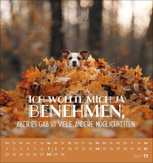 InsideView 11