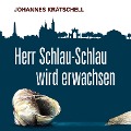 Cover-Bild zum Titel 'Herr Schlau-Schlau wird erwachsen' von 'Johannes Krätschell'