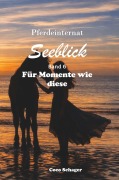 Cover-Bild zum Titel 'Pferdeinternat Seeblick Band 6' von 'Coco Schager'