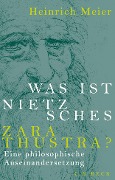 Cover-Bild zum Titel 'Was ist Nietzsches Zarathustra?' von 'Heinrich Meier'