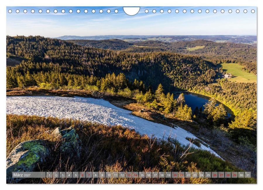 InsideView 8