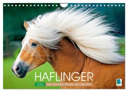 Cover-Bild zum Titel 'Haflinger: Die blonden Pferde von der Alm (Wandkalender 2026 DIN A4 quer), CALVENDO Monatskalender' von 'Calvendo Calvendo'