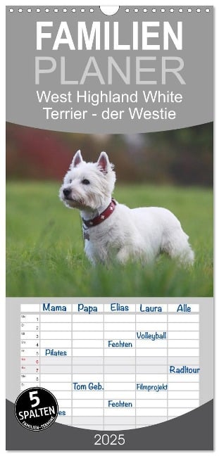 Familienplaner 2025 - West Highland White Terrier - Selbstbewustes Powerpaket - der Westie mit 5 Spalten (Wandkalender, 21 x 45 cm) CALVENDO - Barbara Mielewczyk