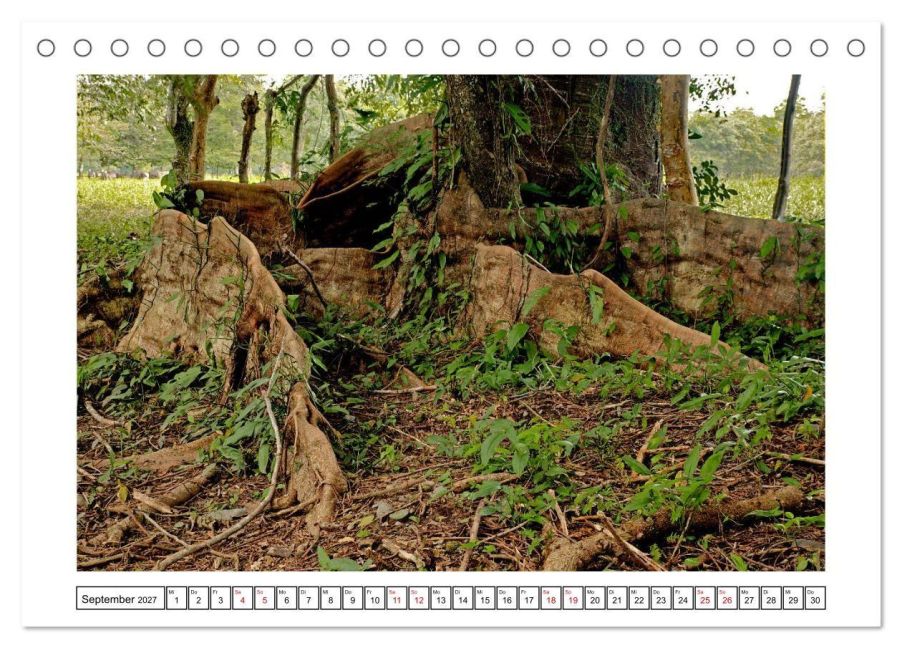 InsideView 14