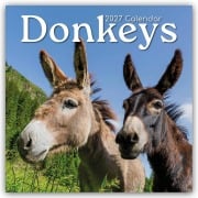 Cover-Bild zum Titel 'Donkeys - Esel 2027 - 16-Monatskalender' von 'Gifted Stationery Co. Ltd'