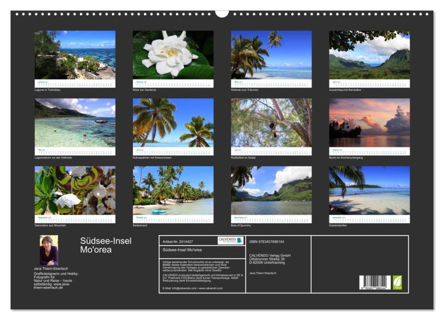 InsideView 5