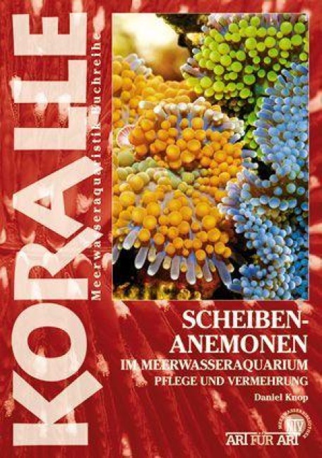 Scheibenanemonen - Daniel Knop