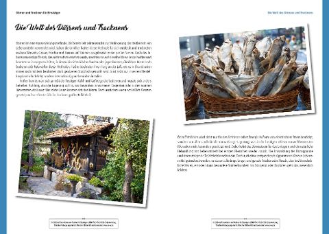 InsideView 1