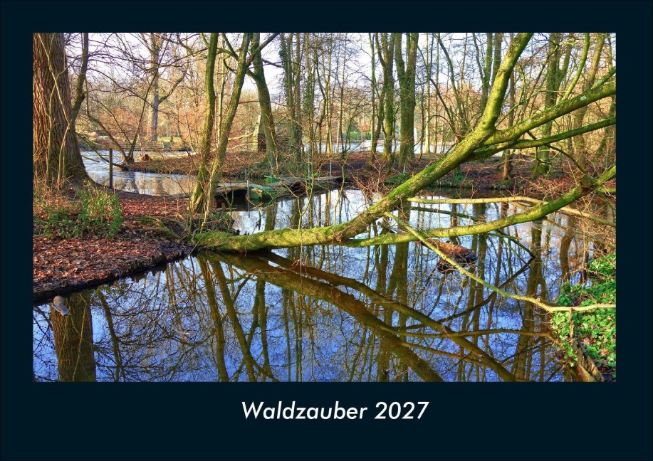 Waldzauber 2027 Fotokalender DIN A4 - Tobias Schmitt, Kevin Heber