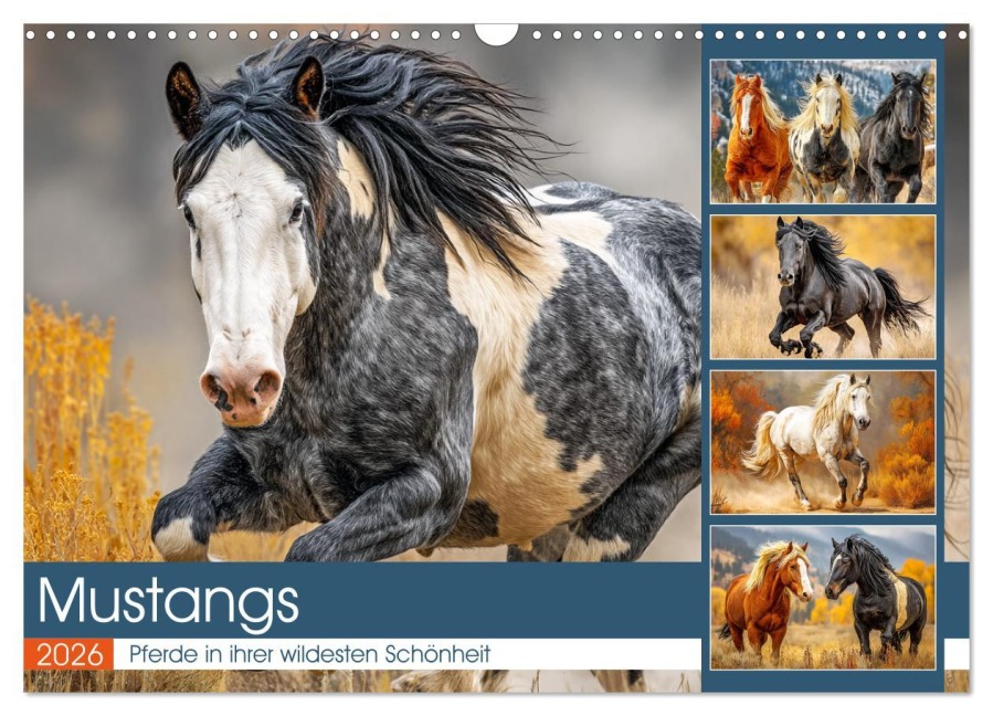 Mustangs. Pferde in ihrer wildesten Schönheit (Wandkalender 2026 DIN A3 quer), CALVENDO Monatskalender - Rose Hurley