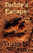 Cover-Bild zum Titel 'Teddy's Escape' von 'Trisha M. Wilson'