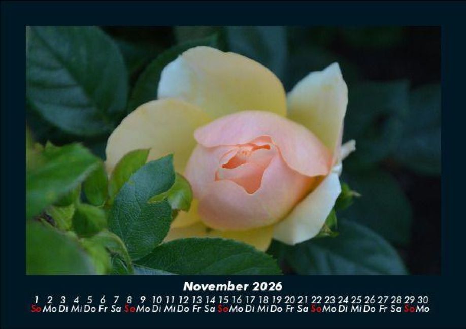InsideView 3