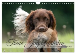 Cover-Bild zum Titel 'Treue Jagdgefährten Der kleine Münsterländer (Wandkalender 2026 DIN A4 quer), CALVENDO Monatskalender' von 'Yvonne Streib'