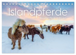 Cover-Bild zum Titel 'Islandpferde - Die süßen Pferde im Norden. (Tischkalender 2026 DIN A5 quer), CALVENDO Monatskalender' von 'M. Scott'